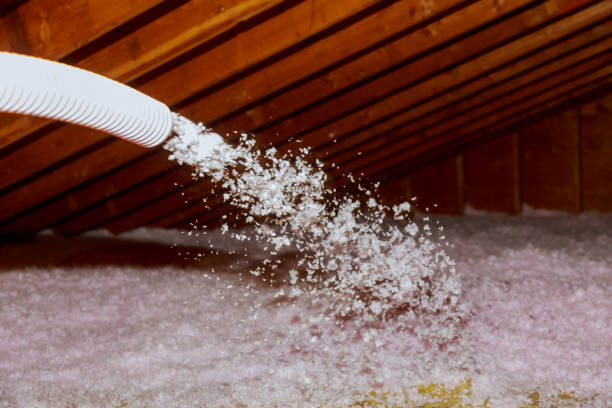 Best Eco-Friendly Insulation in Sammamish, WA