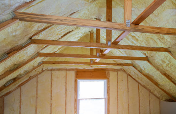 Best Cellulose Insulation in Sammamish, WA