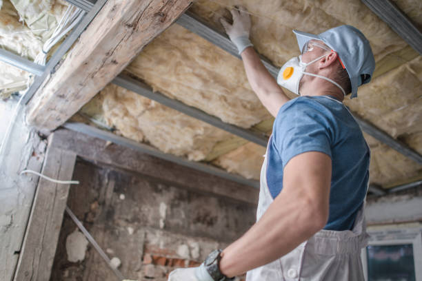 Best Energy Efficiency Insulation in Sammamish, WA