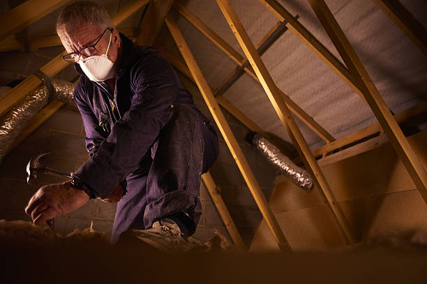 Best Spray Foam Insulation in Sammamish, WA