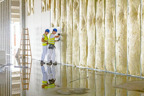 Professional Insulation Contractor in Sammamish, WA